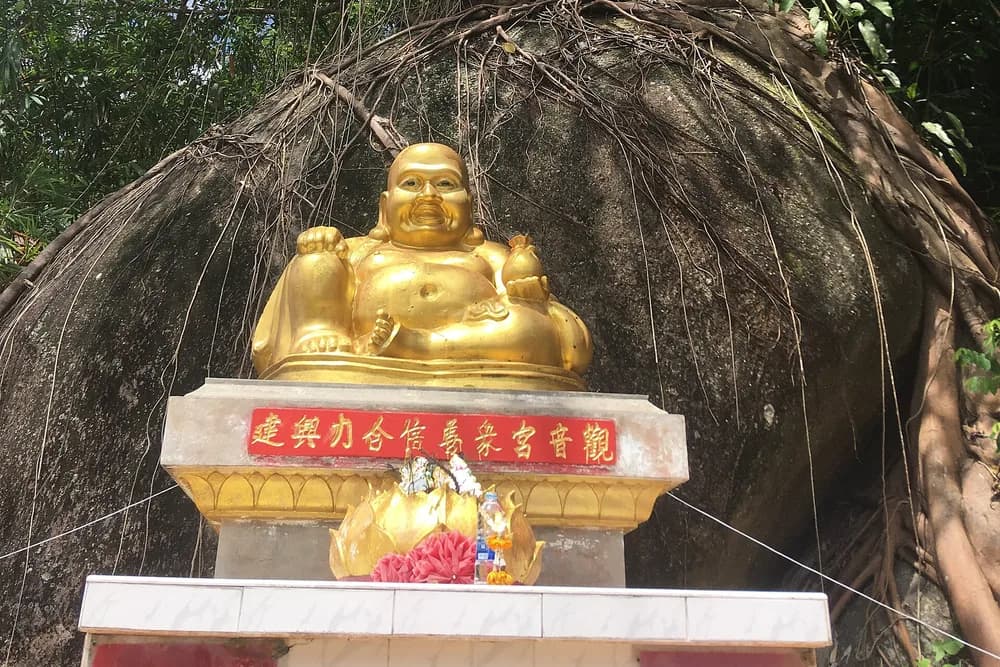 A gilded seated Guanyin figure on a red and white shrine plinth beneath a banyan.