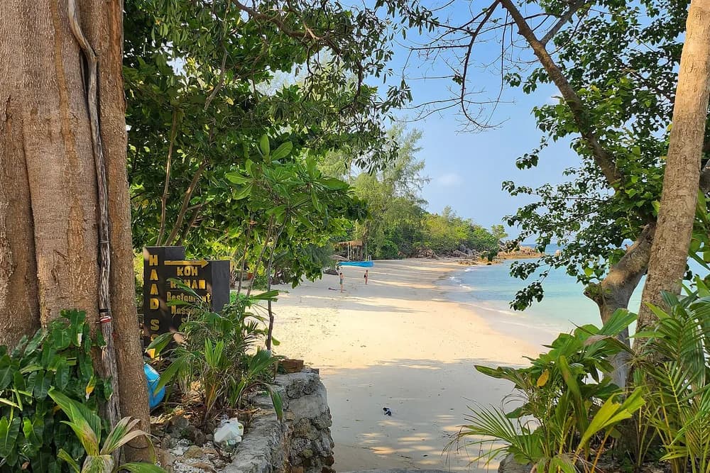 Secret Beach seen through the trees on the path down, pale sand and shallow turquoise water.
